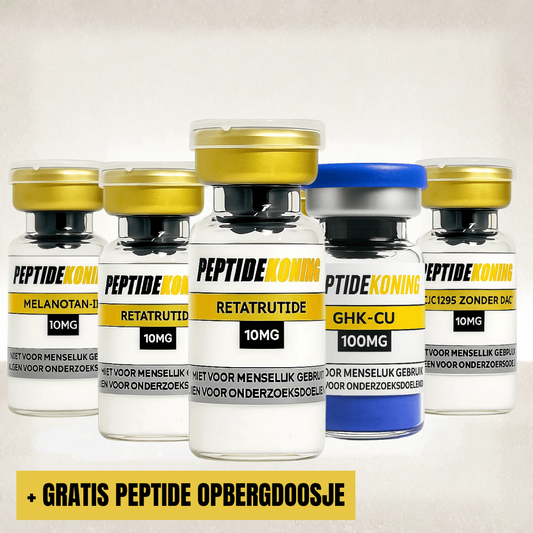 Looksmax Bundle - 6-8 Week Cycle